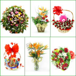 FLORICULTURAS Itaguara, cestas de café da manhã e coroas de flores